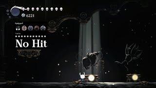 Hollow Knight Radiant Gruz Mother (No Hit)