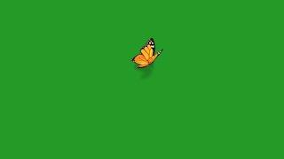 Butterfly flying green screen | Green screen butterfly | Butterfly green screen effects no copyright