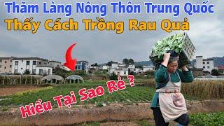 Thăm Nông Thôn Trung Quốc Thấy Cách Người Dân Trồng Rau Quả Mới Biết Sao Lại Rẻ Thế ?