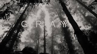 Dub Techno Session : Gray 2