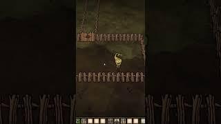 Automatic grass farm Don't Starve Together #dst #dontstarve #shortvideo#dont_starve_together #shorts