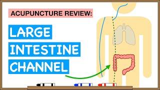 Points Review: Large Intestine Channel Acupuncture Meridian