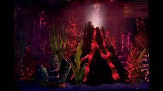 Finding Nemo Virtual Aquarium Volcano Night (Hour Long)