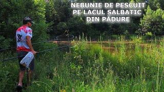 SUPER NEBUNIE de Pescuit La AMUR SĂLBATIC + CRAP La Lacul din PĂDURE -(Cten, Cosaș) BĂTĂLII în Iarbă