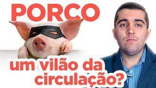 Carne de porco é remoso e entope as veias e causa má circulação, trombose, AVC, infarto e embolia?