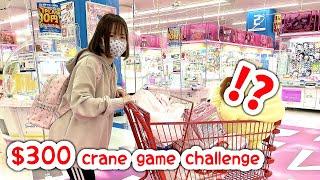 JAPAN $300 CRANE GAME CHALLENGE