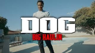 Big Haulin - Dogg (Official Music Video) :@richornothinfilms