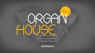 Martino B ● Organ House v005 (March 2016)