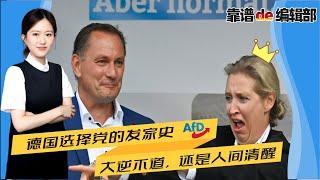 火遍中国全网的德国选择党AFD，原来是这样的一个党派！