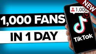 How To Gain 1000 Followers on TikTok in 24 Hours (2025 Update)