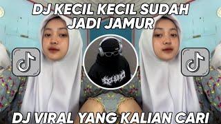 DJ KECIL KECIL SUDAH JADI JAMUR JANDA JANDA DIBAWAH UMUR VIRAL TIKTOK 2023 DJ KECIL SUDAH JADI JAMUR