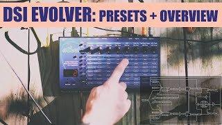 Dave Smith Instruments Evolver: Presets + Overview