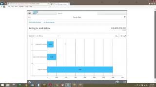 SAP Simple Finance on S4 HANA: Cash Management