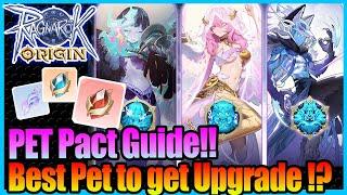 Pet Pact Guide!! Which Pet is Worth to Upgrade?! [Ragnarok Origin Global]