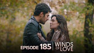 Rüzgarlı Tepe 185. Bölüm | Winds of Love Episode 185