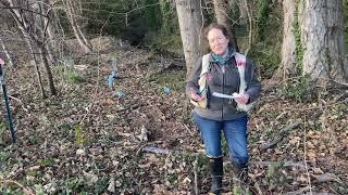 Science Stories: Wetland and Plant Ecologist Caren Crandell