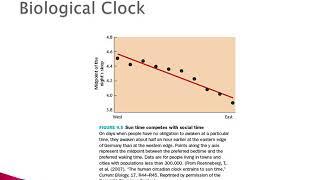 PSYC460 Lecture22a Wakefulness and Sleep I