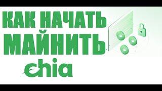 Chia.Как начать майнить на жестком диске