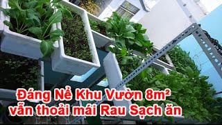 Đáng Nể Khu Vườn 8m² vẫn thoải mái Rau Sạch ăn