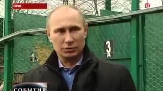 ПОСЛЕДНИЕ НОВОСТИ В Сочи леопард после встречи с Путиным напал на журналиста