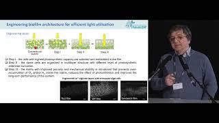 Sergey Kosourov, Engineering biofilm architecture for efficient light utilization