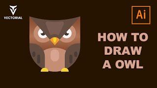 How to draw a Owl in Adobe Illustrator