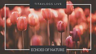 LIVE / Nature Sounds / Meditation Music / Echoes of Nature / Spa Sounds / Relax your Mind & Eyes