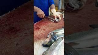 The best way to fillet trout for grilling