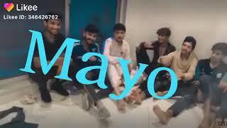 Mayo rajput