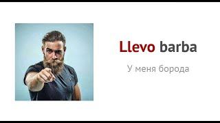 Описание внешности с помощью глагола LLEVAR