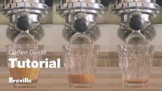 The Barista Pro™ | A guide to extracting the perfect espresso shot | Breville USA