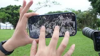 Excope DT1 vs. Your Phone: Capturing Distant Leaves