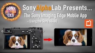 Sony Imaging Edge Mobile App Tutorial using Sony A6600