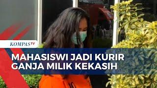 Jadi Kurir Ganja Milik Kekasih, Mahasiswi di Malang Ditangkap