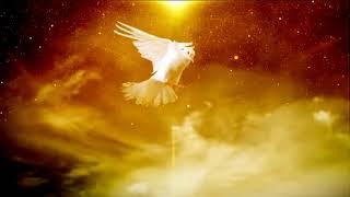 Holy Spirit in a form of Dove   video background loop 1080p Full HD