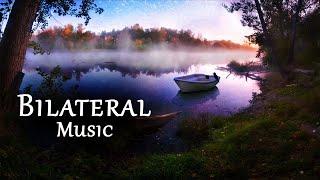 Relaxing Bilateral Stim Music | 1 Hour for Anxiety, Stress, PTSD, Sleep  A Drop in Time