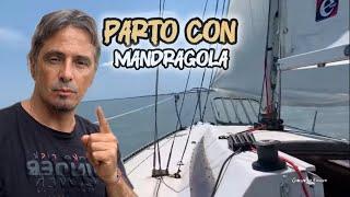 BARCA A VELA 8 METRI LA PORTO A CASA