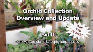 Orchid Collection Overview and Update 2022 - Part 2
