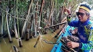 AWAL RAMADAN⁉️ PALING ASIK MANCING UDANG GALAH