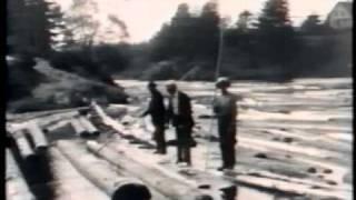 From stump to ship: A 1930 logging film