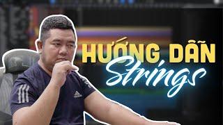 Hướng dẫn dựng Strings cho bài hát | Tuấn Mario