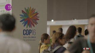 UN COP16 Biodiversity Conference Kicks Off in Colombia