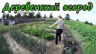 Лето в деревне // Огород // Кормление свиней // Обезрожили телят // Семья Лях