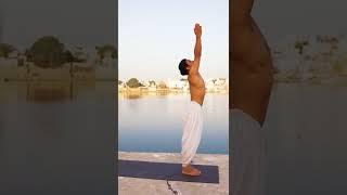 Surya namaskar "A"  Ashtangayoga #yoga #ashtangayoga #strength #status