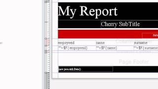 Java prog#118. Reports : Jasper iReports: How to Pass a query from Java Into the Report