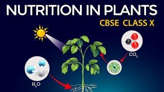 Life processes (Animated) class10 Biology | Class 10 Science Chapter 6 | CBSE | NUTRITION IN PLANTS