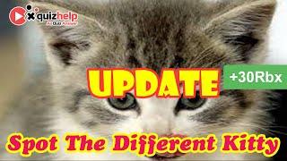 Spot The Different Kitty Quiz Answers | Earn +30 Rbx | Quiz Diva