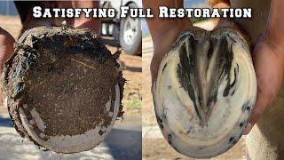 Hoof Restoration Start to Finish - Farrier ASMR - Satisfying