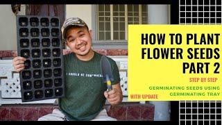 How to Plant Flower Seeds Using Germinating Tray | w/ Update (Episode 2)