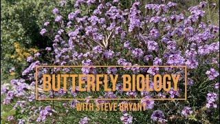 Butterfly Biology with Steve Bryant